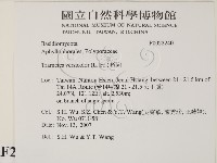 雲芝藏品圖，第2張