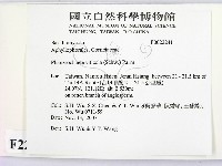 登錄號:F0022241藏品圖，第2張