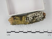 登錄號:F0022242藏品圖，第3張