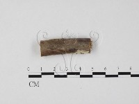 登錄號:F0022243藏品圖，第4張