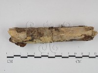 登錄號:F0022244藏品圖，第3張