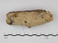 登錄號:F0022245藏品圖，第1張