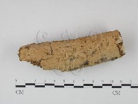 登錄號:F0022246藏品圖，第1張