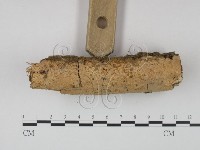 登錄號:F0022246藏品圖，第3張