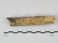 登錄號:F0022247藏品圖，第1張