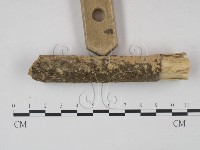 登錄號:F0022247藏品圖，第3張