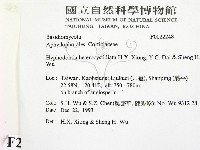 登錄號:F0022248藏品圖，第2張