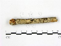 登錄號:F0022248藏品圖，第1張