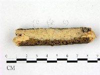 登錄號:F0022249藏品圖，第1張