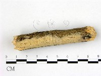 登錄號:F0022249藏品圖，第3張