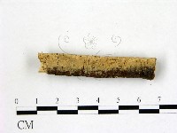 登錄號:F0022250藏品圖，第1張