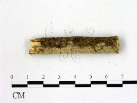 登錄號:F0022250藏品圖，第3張