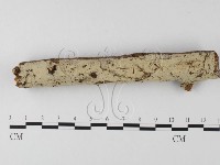 登錄號:F0022251藏品圖，第1張