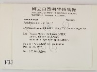 登錄號:F0022252藏品圖，第2張