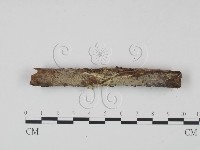 登錄號:F0022252藏品圖，第1張