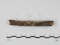 登錄號:F0022252藏品圖，第3張