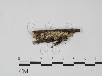 登錄號:F0022253藏品圖，第1張