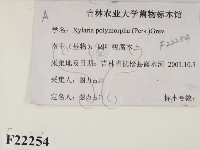 登錄號:F0022254藏品圖，第2張