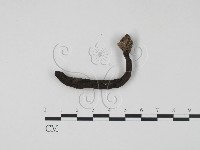 登錄號:F0022254藏品圖，第1張