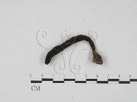 登錄號:F0022254藏品圖，第3張