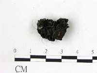 登錄號:F0022255藏品圖，第1張