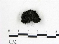 登錄號:F0022255藏品圖，第3張