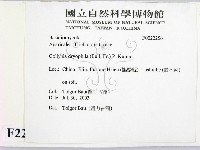 登錄號:F0022256藏品圖，第2張