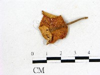 登錄號:F0022256藏品圖，第3張