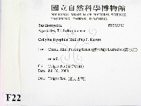 登錄號:F0022257藏品圖，第2張