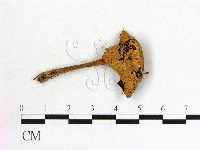 登錄號:F0022257藏品圖，第3張