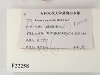 登錄號:F0022258藏品圖，第2張