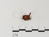 登錄號:F0022258藏品圖，第3張