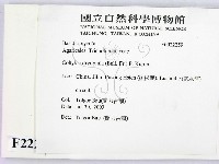 登錄號:F0022259藏品圖，第2張