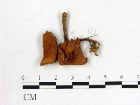 登錄號:F0022259藏品圖，第3張