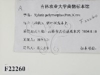 登錄號:F0022260藏品圖，第2張