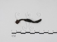 登錄號:F0022260藏品圖，第1張