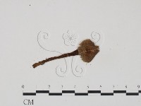 登錄號:F0022261藏品圖，第3張