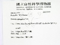 登錄號:F0022262藏品圖，第2張