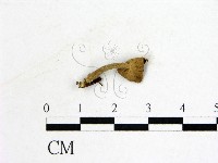 登錄號:F0022262藏品圖，第3張