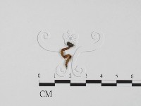 登錄號:F0022264藏品圖，第3張