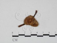 登錄號:F0022265藏品圖，第3張