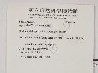 登錄號:F0022266藏品圖，第2張