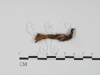 登錄號:F0022267藏品圖，第3張