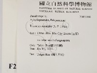 雲芝藏品圖，第2張
