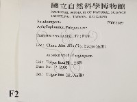 雲芝藏品圖，第2張