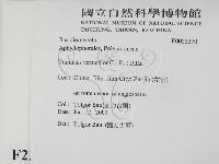 雲芝藏品圖，第2張