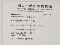 裂褶菌藏品圖，第2張