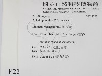 雲芝藏品圖，第2張