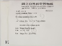 登錄號:F0022274藏品圖，第2張