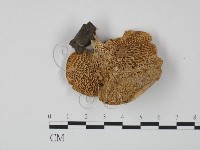 登錄號:F0022274藏品圖，第3張